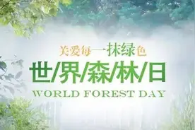 世界森林日 | 这组警示海报是他们冒着生命危险换来的！图片