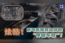 炫酷！新司机就有这样的“神仙车技”？图片