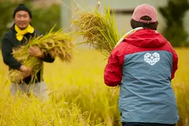 28万农产品商家，在拼多多过了“丰收节”图片