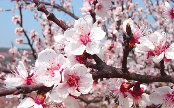 全部的成语！收藏起来，回家教给孩子