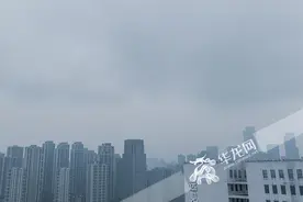11月20日 重庆要闻速览图片