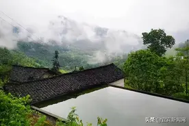 直播带货 让宜宾农产品有了“新销路”图片
