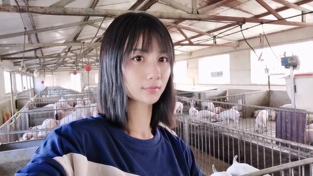 养猪常用饲料原料的了解——猪知乐