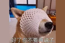 雅思口语新题Wallet讲解：Vicky亲自写答案，祝你们钱包鼓鼓图片
