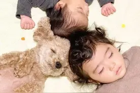 泰迪犬为什么喜欢和主人一起睡？原因不只有粘人，还有其它的理由图片