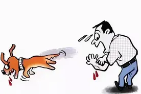 外卖员被狗咬伤，赔偿谈不成反被气晕！抢救费该谁承担？法院这样判图片