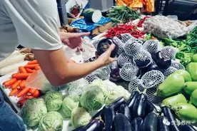 苏州这个最大的菜市场，到底有什么魅力？图片