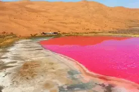 阿拉善沙漠惊现绝美粉色湖！不去趟内蒙感觉对不起这一生图片