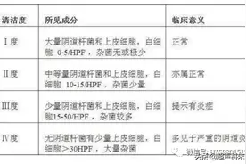 阴道清洁度如何解读？出现异常如何治疗和预防？图片