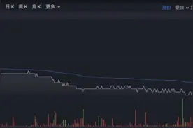 大悦城深陷欠薪维权门 业绩放缓高管频换图片