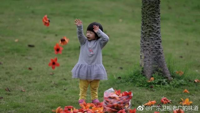 膨鱼腮花胶 膨鱼腮可以吃吗