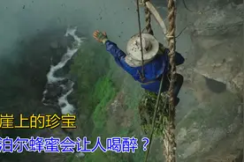 尼泊尔蜂蜜会让人喝醉？登上悬崖绝壁才能品尝，稍有不慎粉身碎骨图片