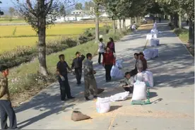 朝鲜农村：百姓下地干活场景，一堆人围在一起吃饭图片