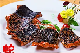 蛇肉究竟有多美味？且看古代吃货如何品评图片