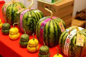日本西瓜卖得这么贵，为啥不从中国进口呢？还不是因为这3个原因图片