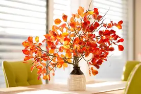 适度“囤货”就是保证自己的生存质量图片