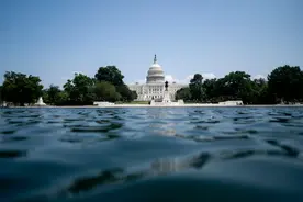 200年首次，美国白人数量下降8.6%！拉丁裔人口数量飙升至6200万图片