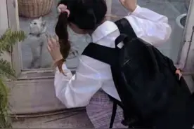 1998年11岁女孩离奇失踪，警方矢志不渝12载将其残疾父亲纳入视线图片