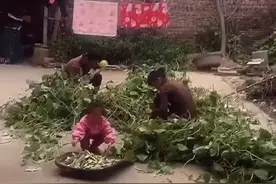 河南男子和媳妇吵架跑去丈母娘家，妻子：想不到回娘家是去接老公图片