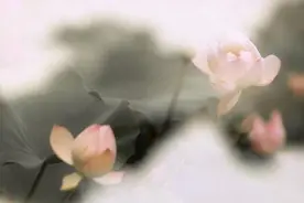 古诗和词是两种体裁吗，它们之间到底是什么关系？图片
