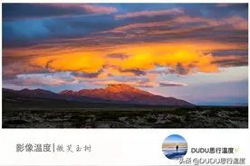可可西里：让人深陷其中的荒凉绝美，你来请尊重她、保护好她图片