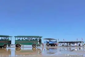 在东营赶海拾贝的两条路线（一个收费，一个不收费）图片