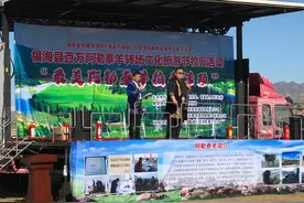 羊羊羊选美！新疆最美阿勒泰羊选美拍出6.8万元天价图片