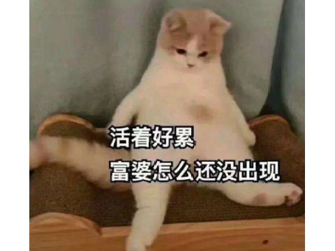 这游戏太真实！好不容易当上掌门人，结果没钱被逼上梁山当土匪？