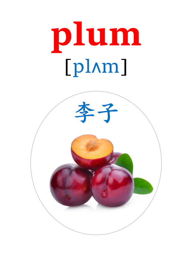 英语卡片来了！20多种水果的英语单词！apple、orange、pear