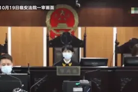 集资诈骗1900万元 26岁“白富美”一审被判处十二年三个月图片