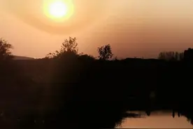 第一趴：科学的尽头是玄学？周六周日拒稿率高？图片