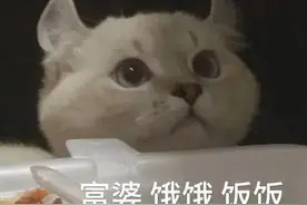 蠢萌表情包:目标已锁定！图片