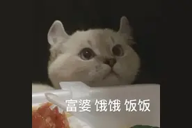 蠢萌表情包:目标已锁定！图片