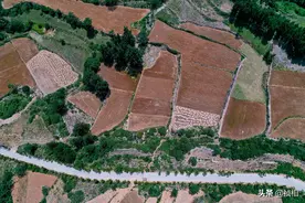 航拍河南汝州山区块状黄色麦田 镶嵌在绿色山体中 大地秒变调色板图片