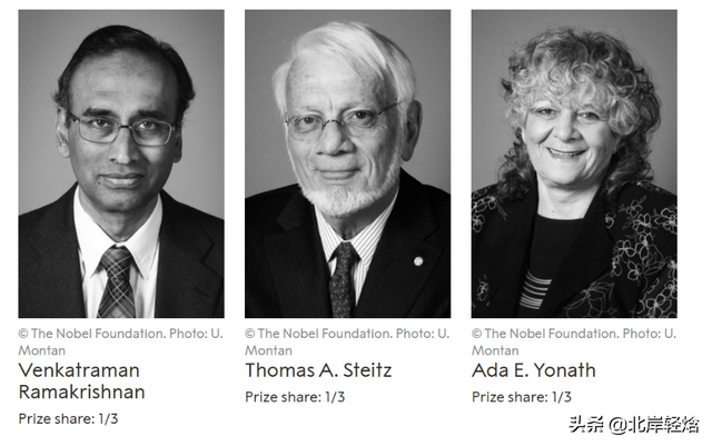 核糖体：揭开生物体内合成蛋白质的奥秘 2009年诺贝尔化学奖介绍