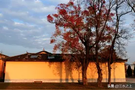 江西20人通过专项被清北录取，赣州7人，上饶4，抚州吉安各2图片