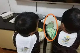 善用“左手”的孩子更聪明？专家：不光聪明那么简单图片