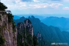 湖南与广东交界有座山，藏着“国宝”级毒蛇，数量稀少一条值百万图片