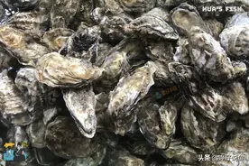 鱼缸里放了蚝壳，就能高枕无忧？详解蚝壳的正确使用姿势｜辟谣图片