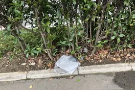 草丛里捡到一台笔记本电脑，以为是垃圾，却给了我意外的惊喜图片