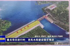 重点项目进行时：老岚水库建设稳步推进图片