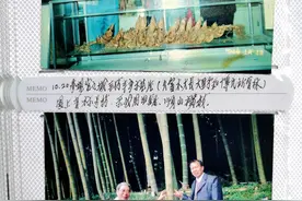 科普知识（12）. 您知道竹子怎么种吗？欢迎多多点评吧图片
