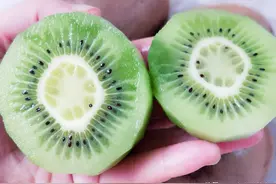 十月猕猴桃正当季，酸甜多汁营养丰富，3个方法催熟它，想吃便吃图片