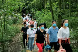 为抗疫英雄补过中国年最后一天：大熊猫，我们来看你了图片