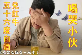 五十六度白酒加啤酒兑红牛小伙差点不省人事了视频封面