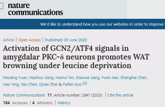 重磅！郭非凡组发现中枢杏仁核感应氨基酸调控白脂褐脂化的新机理