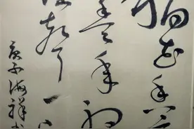 这草书写的有力道图片
