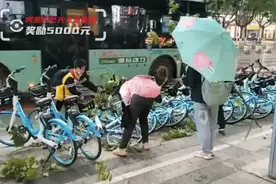 4名小学生雨中扶起50多辆倒地单车，全网称赞！后续来了图片