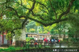 清明、五一去哪儿？资深老驴私藏的22个目的地，挑一个就出发图片