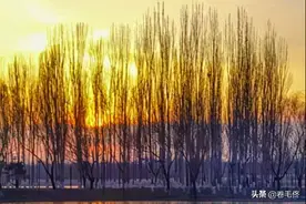 照片到底是横着拍还是竖着拍？看了这几张照片你就明白了图片